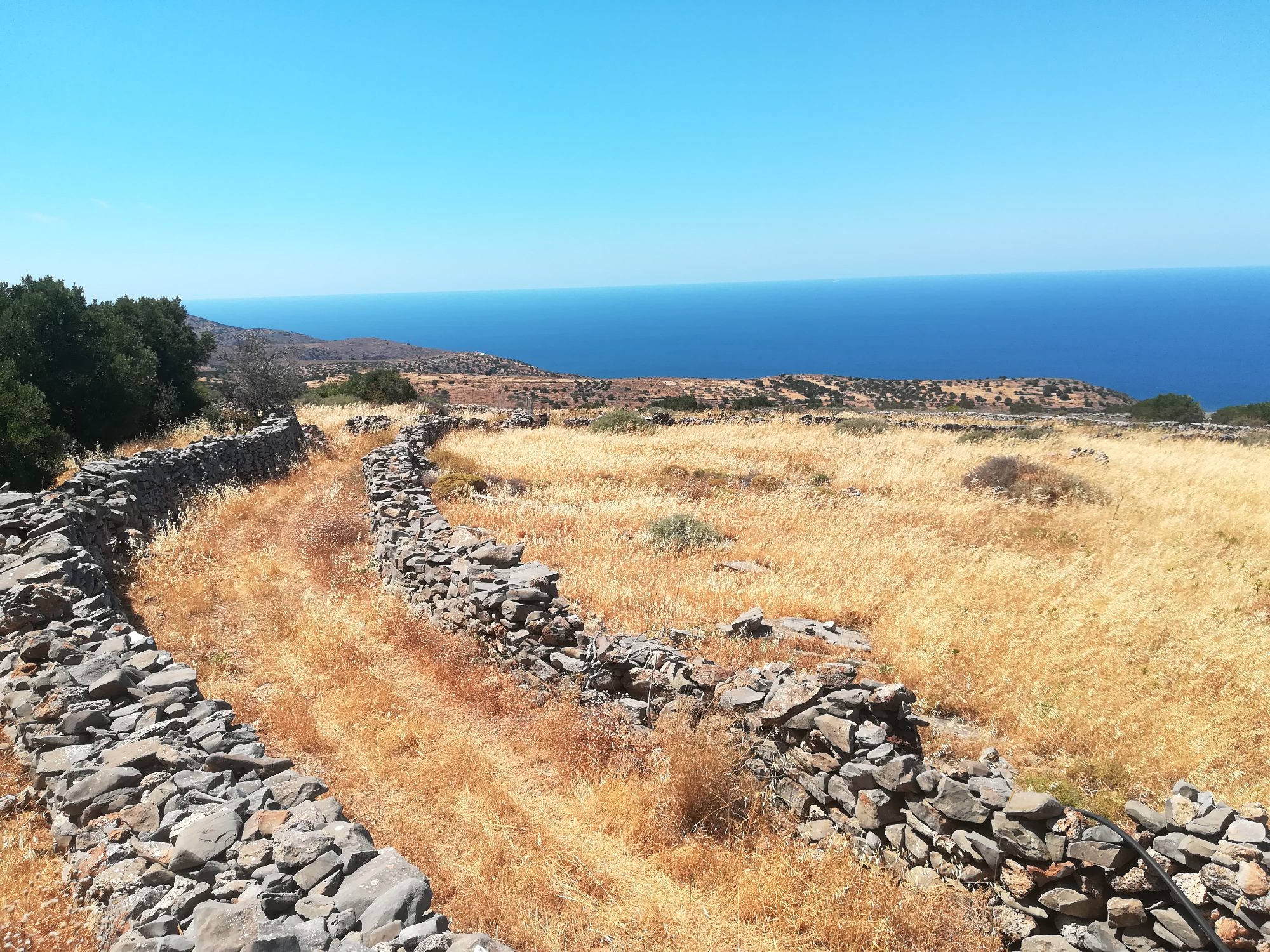 Οικοδομήσιμο οικόπεδο στον Λούμα Λασιθίου