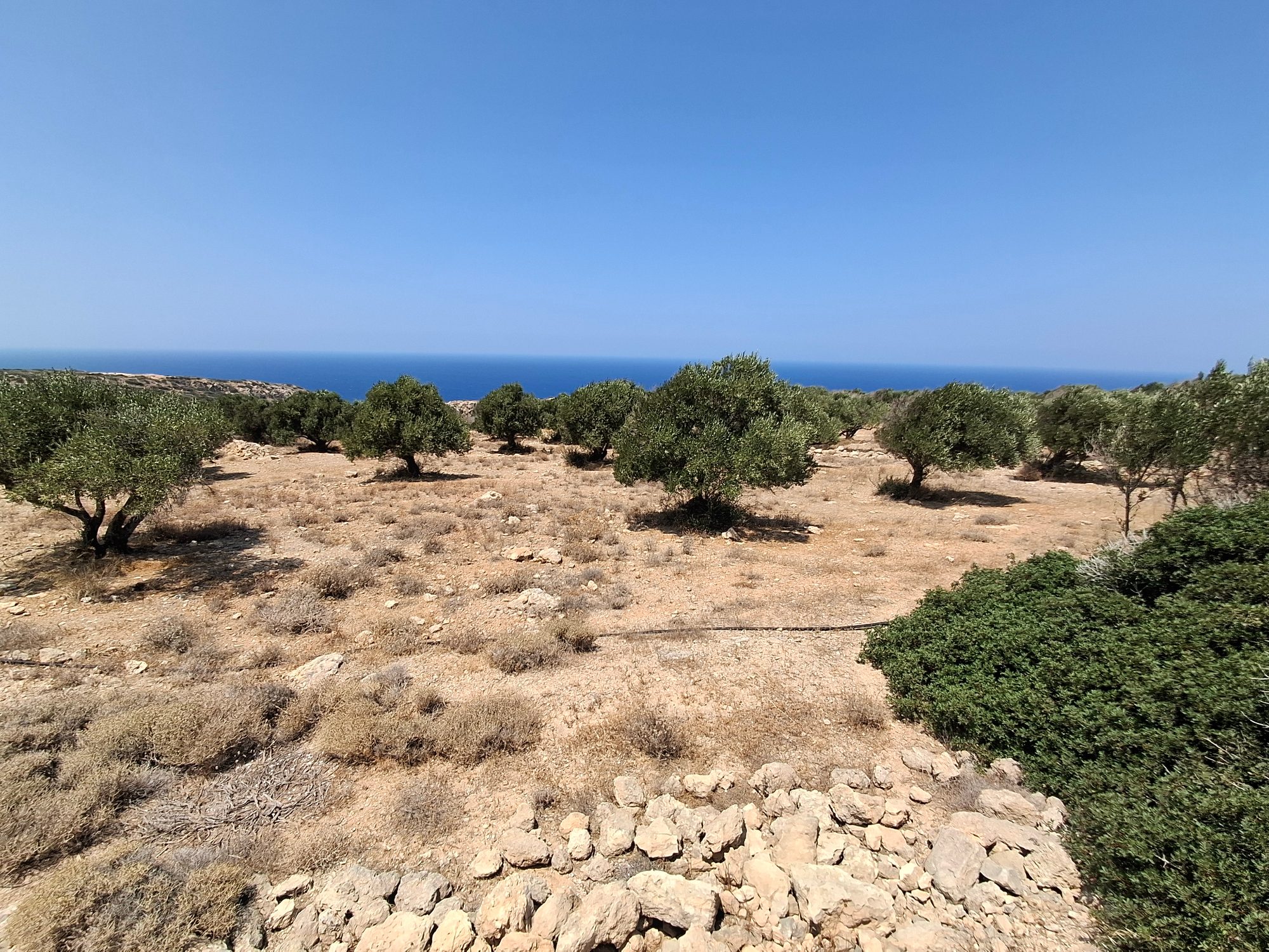 Οικοδομήσιμο οικόπεδο στον Μυρωνικήτα Λασιθίου