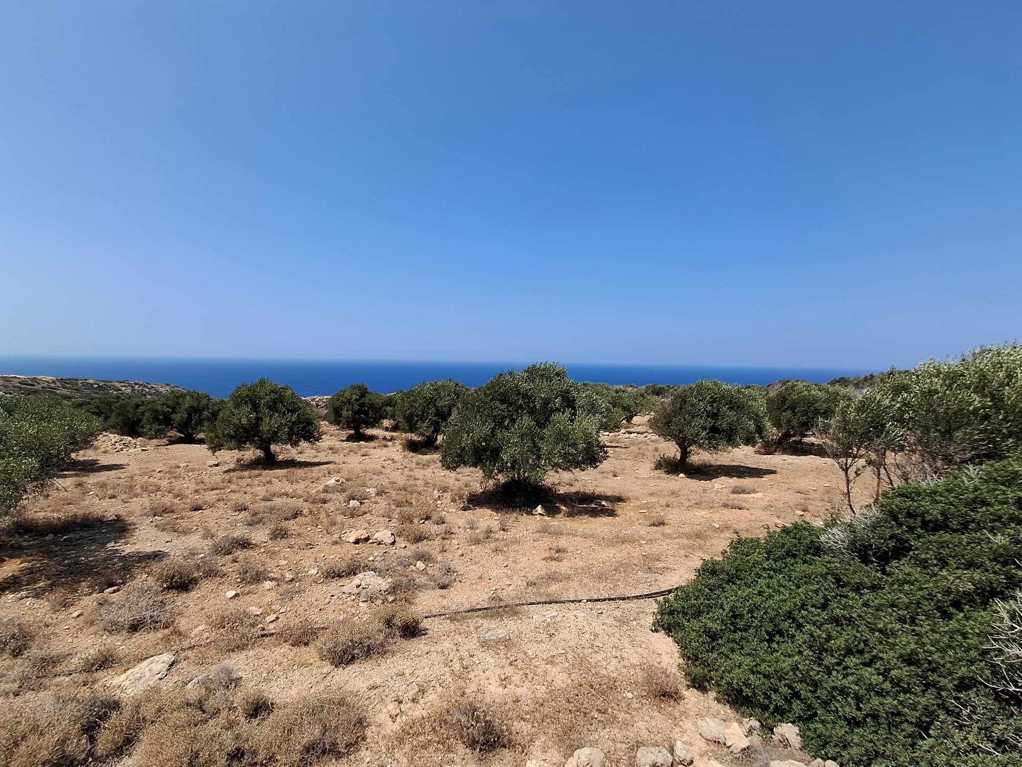 Οικοδομήσιμο οικόπεδο στον Μυρωνικήτα Λασιθίου